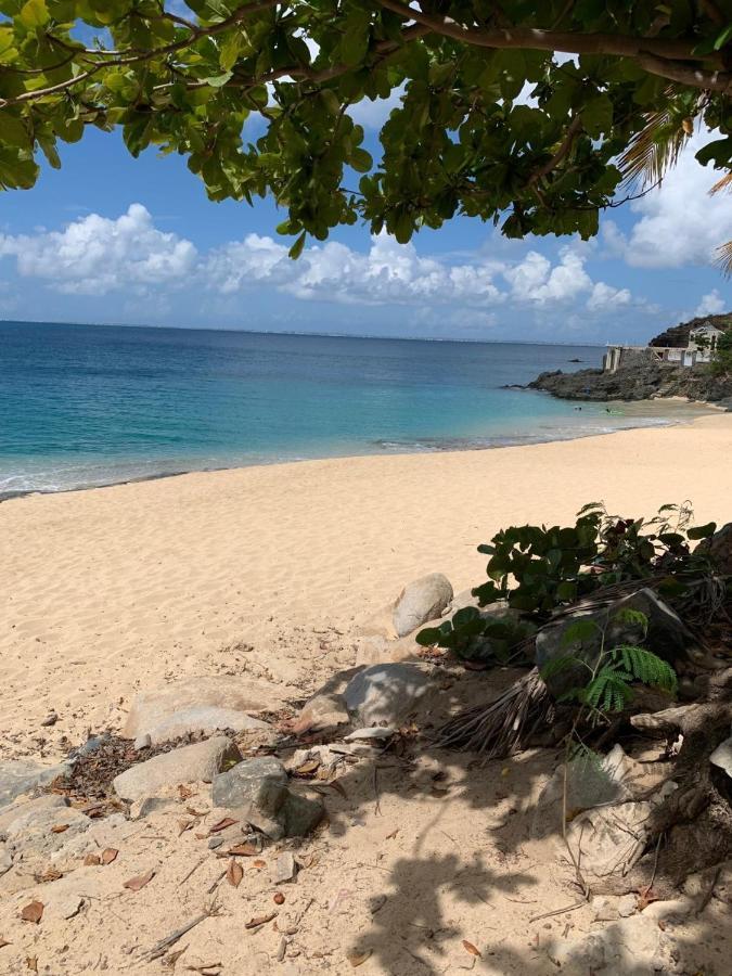 St Martin Nettle Bay Lovely Appartment Sandy Ground Buitenkant foto